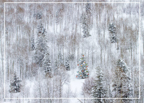 Light in the Forest - Christmas Card