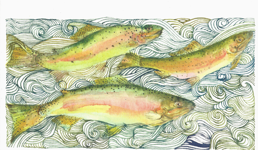 Trout River Song - Note Card