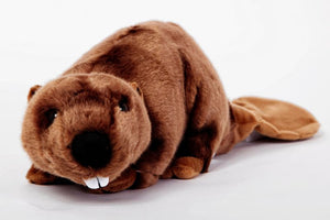 Stuffed Animals