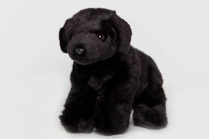 Stuffed Animals